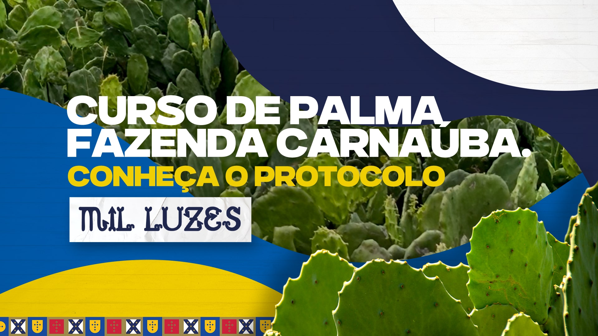 Video PALMA