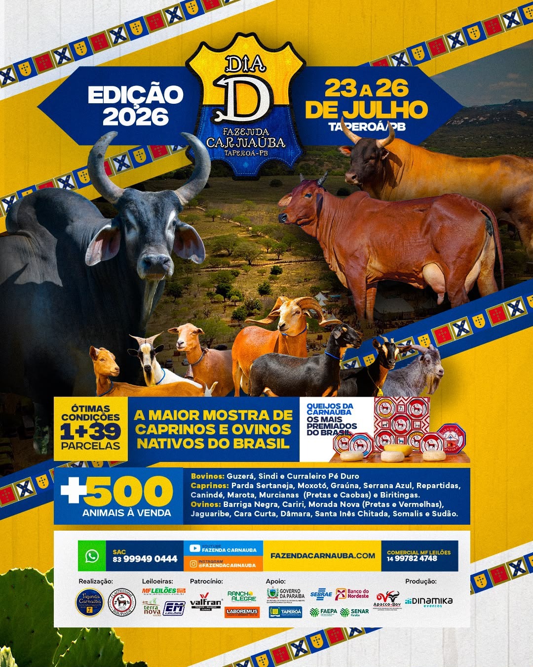 Programa��o Oficial D1