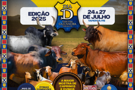 Dia D 2025 - Presencial e on line